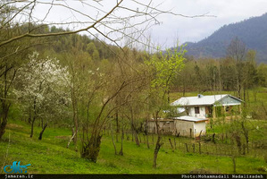 طبیعت رویایی ماسال گیلان