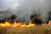 برافروختن آتش در مراتع و جنگل های کهگیلویه و بویراحمد پیگرد قانونی دارد