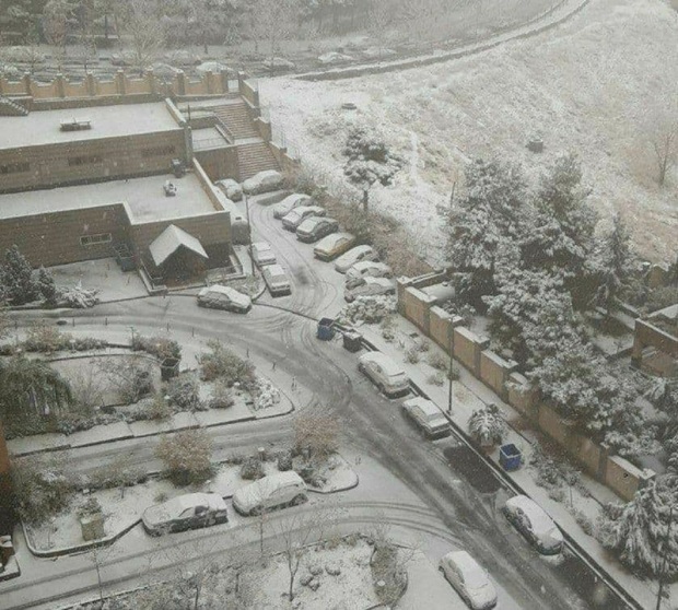 فیلمی از برف در تهران/ امروز پایتخت سفیدپوش شد
