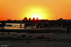 پارک زیتون قشم