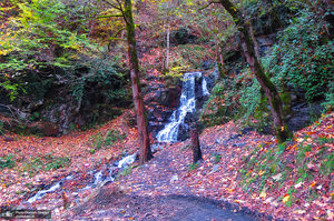 آبشار لونک دیلمان