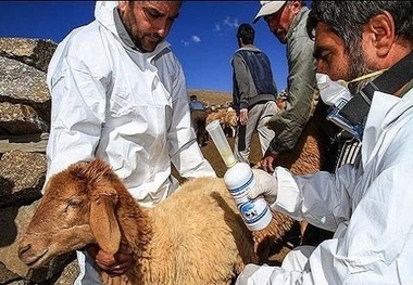 برگزاری دوره آموزشی آشنایی با تب کریمه کنگو در شهرستان امیدیه