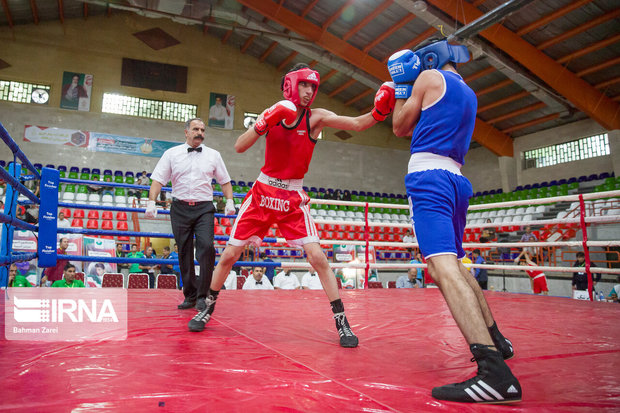 هفت بوکسور بروجردی به اردوی تیم ملی دعوت شدند