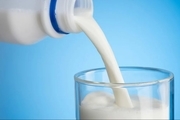 متخصص: مردم با اطمینان خاطر، شیر مصرف کنند