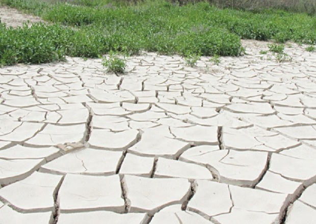 28 روستای شیروان تنش آبی دارد