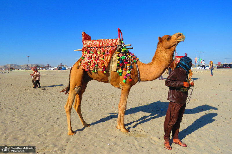 جزایر ناز یکی از عجایب هفتگانه قشم