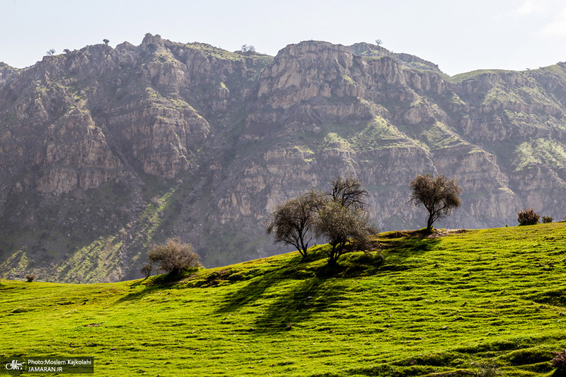 طبیعت بکر و زیبای«کفشکنان»