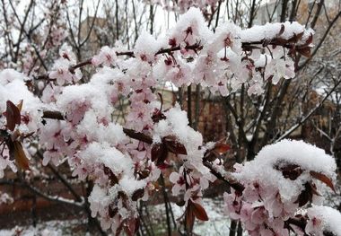 دمای هوای همدان به زیر صفر می‌رسد