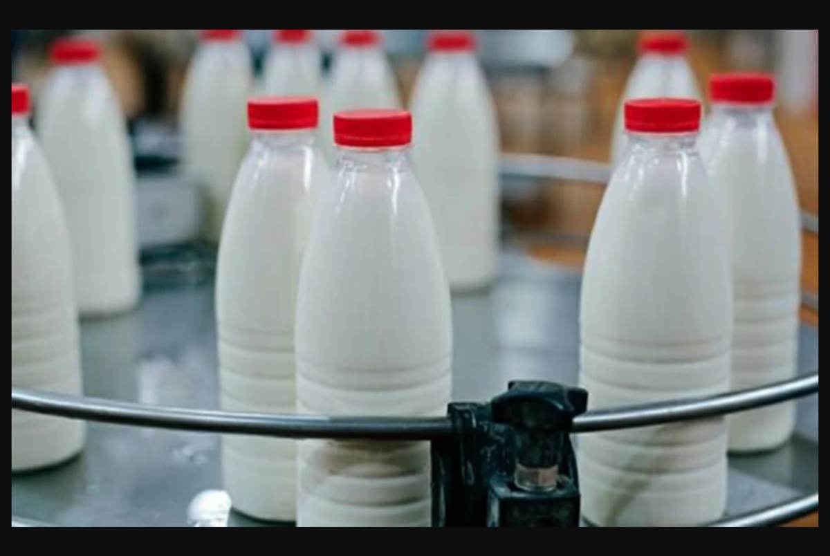 افزایش 80 درصدی قیمت لبنیات به دلیل افزایش هزینه های تولید/ کالابرگ شیر و لبنیات داده می شود؟