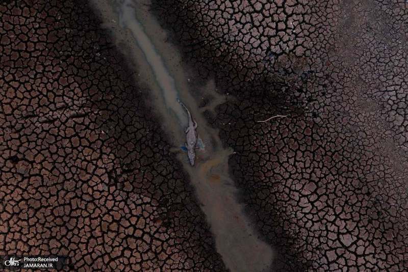 منتخب تصاویر امروز جهان- 24 شهریور