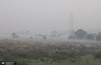 مه دود غلیظ پایتخت هند را فرا گرفت (3)