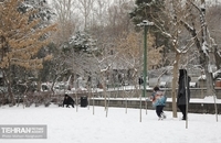 بهترین عکس ها از روز برفی تهران (13)