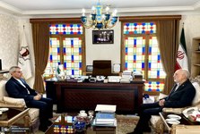 دیدار سخنگوی وزارت امور خارجه با علی‌اکبر صالحی رئیس بنیاد ایران‌شناسی/ تأکید بر توسعه همکاری‌ها در حوزه دیپلماسی عمومی و معرفی شایسته ایران