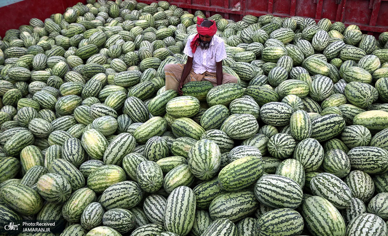 منتخب تصاویر امروز جهان - 22 فروردین 1401