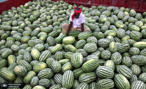 منتخب تصاویر امروز جهان - 22 فروردین 1401