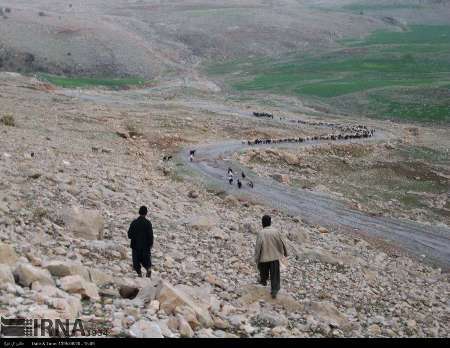 کوچ درون استانی هفت هزار خانوار عشایری در شهرستان اندیکا آغازشد