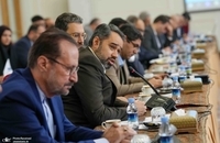 جلسه ستاد هماهنگی روابط اقتصادی خارجی با حضور عراقچی (4)