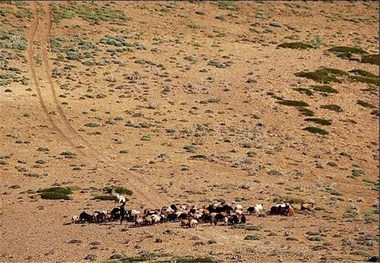 خطر بیابانی شدن 300 هزار هکتار از اراضی گلستان