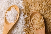 قیمت برنج کاهش می یابد؟