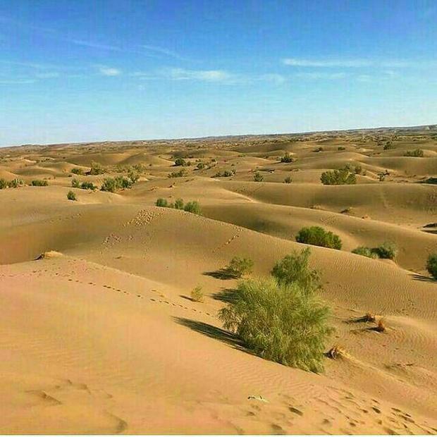 10 هزار نفر از کویر &#39;سیازگه&#39; ابو زید آباد در شهرستان آران و بیدگل دیدن کردند