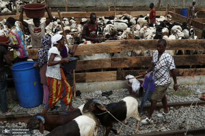 منتخب تصاویر امروز جهان- 24 تیر 1400