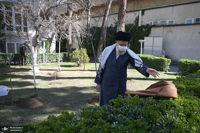 کاشت دو نهال میوه توسط رهبر معظم انقلاب