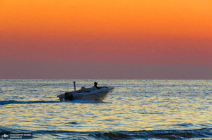 پارک زیتون قشم