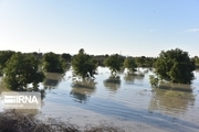 سیلاب به اراضی کشاورزی ایلام ۳۰ میلیارد ریال خسارت زد