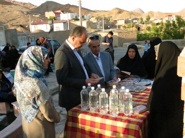 ۸۰ روستای مولد در خراسان جنوبی شناسایی شد