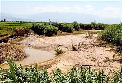 خسارت سیل در شرق مازندران 330 میلیارد تومان برآورد شد  رانش مهمترین تهدید جاده های روستایی  بیشترین خسارت سیل اخیر متوجه بخش کشاورزی شد