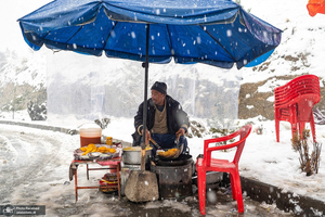 منتخب تصاویر امروز جهان - 16 دی 1403