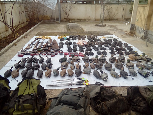 عاملان شکار 64 پرنده در خلیج گرگان دستگیر شدند