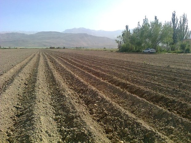 گشایش پنجمین نمایشگاه تخصصی محصولات کشاورزی لرستان