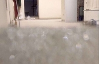 در کاروانسرای سعدالسلطنه چه خبر است؟ (6)