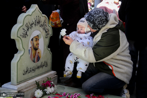 مهمانی لاله ها در قطعه شهدای بهشت زهرا