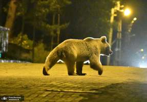 منتخب تصاویر امروز جهان- 23 تیر