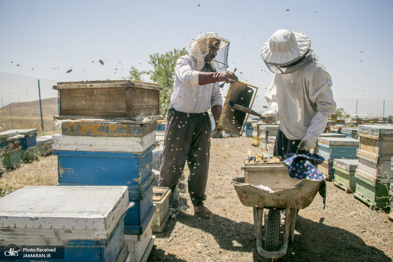 منتخب تصاویر امروز جهان- 21 مرداد