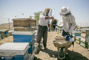 منتخب تصاویر امروز جهان- 21 مرداد