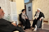 ديدار آیت‌الله سيد‌علی محقق داماد و آیت‌الله سيدمصطفی محقق داماد با حجت الاسلام و المسلمين كروبی (3)
