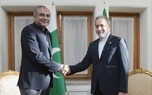 دیدار وزیر کشور پاکستان با عراقچی در تهران + عکس