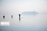 تراز دریاچه ارومیه یک‌متر و پنج سانتی‌متر بیشتر از سال گذشته