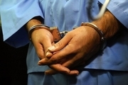 دزدان سیم برق در دشتستان دستگیر شدند