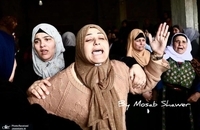 photo_2024-03-01_18-52-47