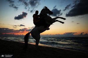 منتخب تصاویر امروز جهان - 15 آذر 1401