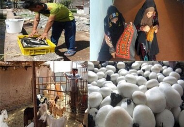 تسهیلات اشتغال روستایی درگناوه پرداخت شد