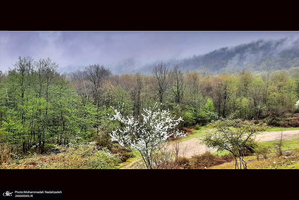 دریاچه آویدر نوشهر