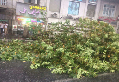 قطعی برق 84 روستای استان گلستان برطرف شد
