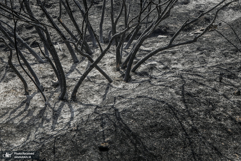 منتخب تصاویر امروز جهان - 2 مهر 1401