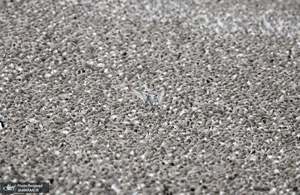 منتخب تصاویر امروز جهان- 2 آبان