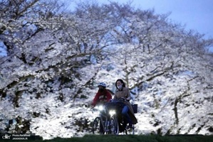 منتخب تصاویر امروز جهان - 8 فروردین 1402